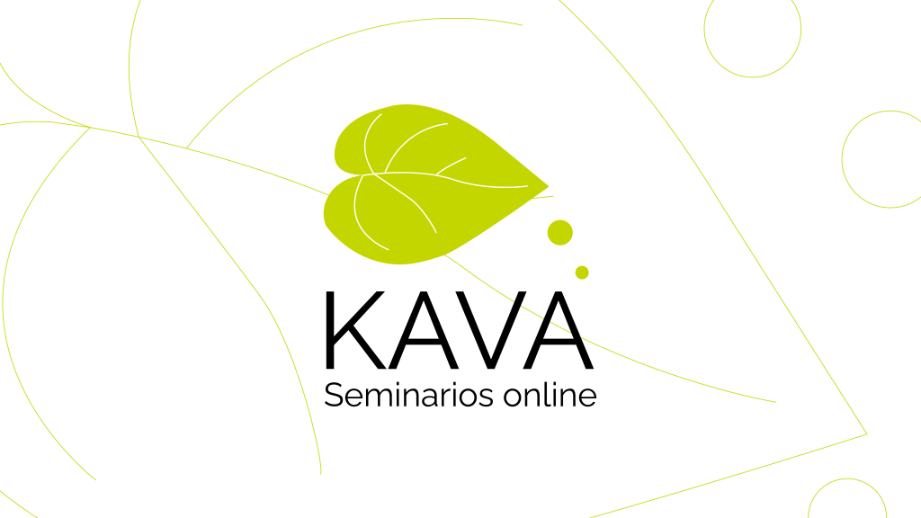 KAVA: Rumbo a las elecciones europeas de 2024